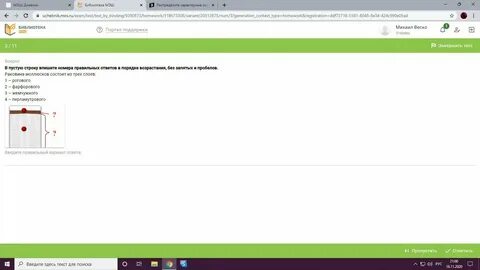 Впишите номера правильных предложений
