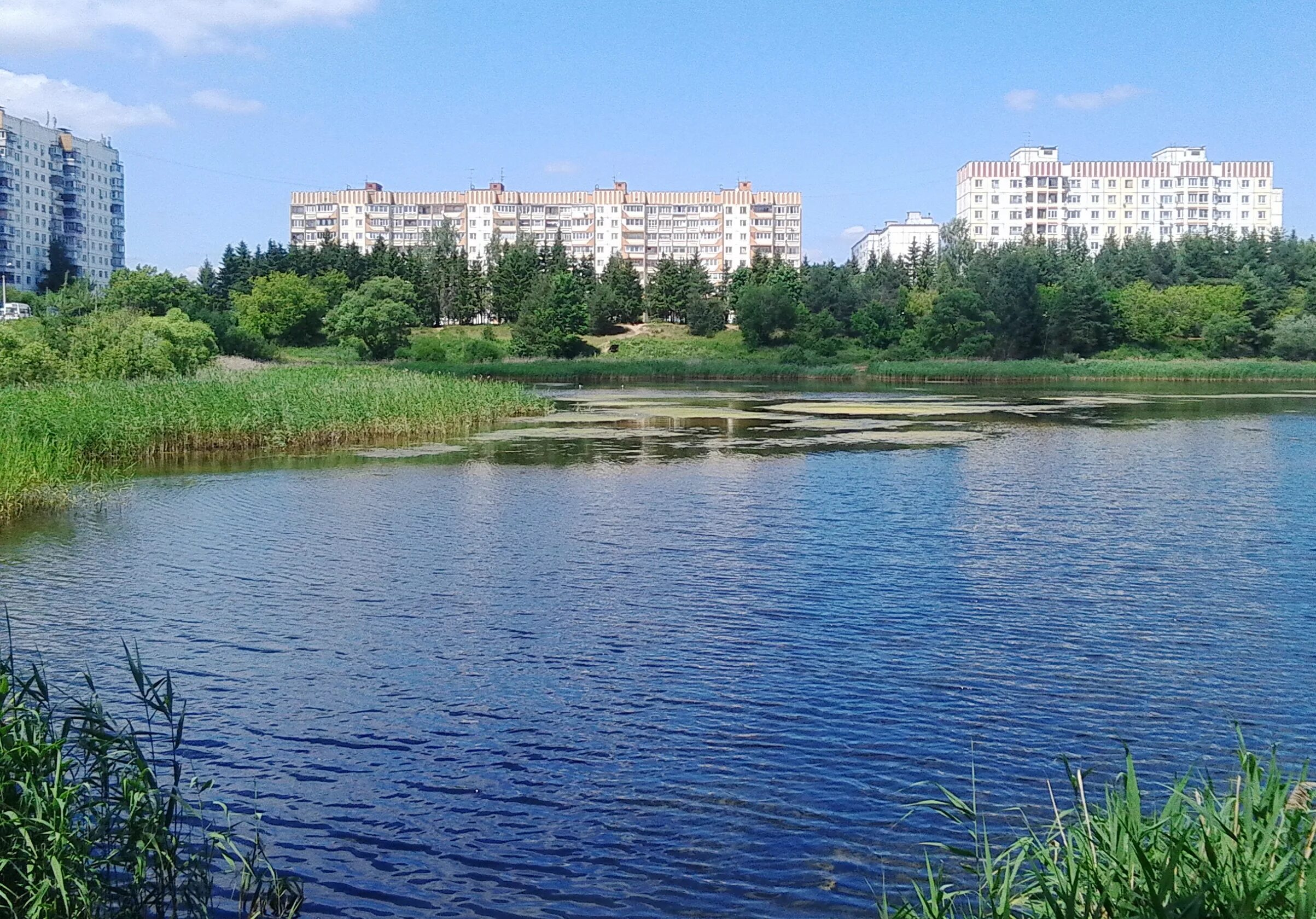 Пруд в Звездном Пермский край. Зато Звездный городок. Пруд в Звездном Городке. Балашов пруд рабочий городок. Светлые пруды