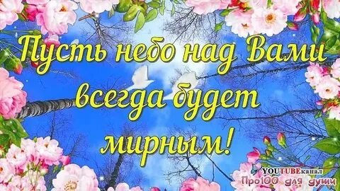 Короткие видео с добрыми пожеланиями