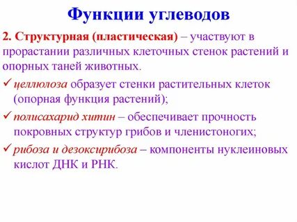 Структурная функция углеводов это