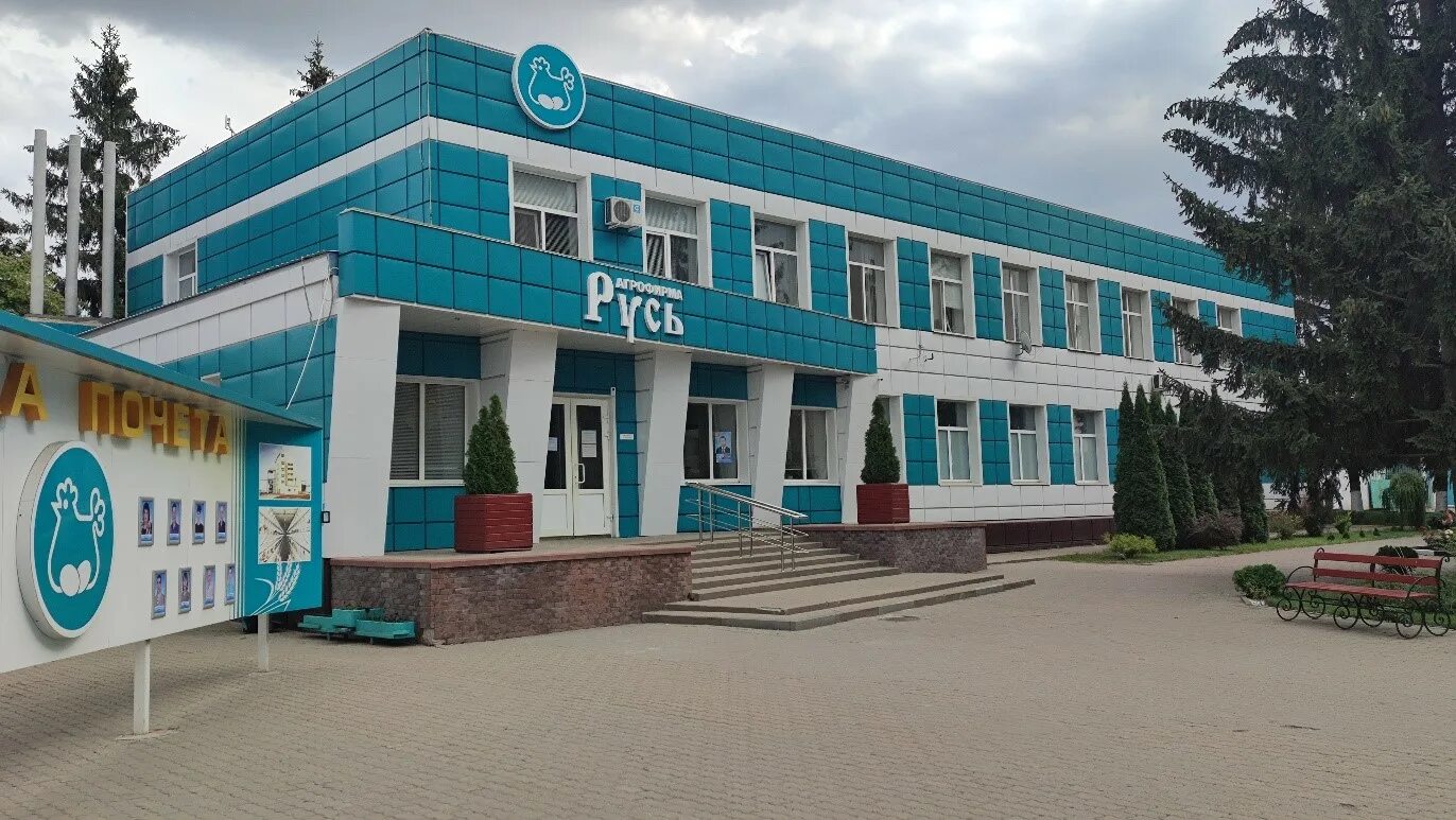 Русь короча. Агрофирма русь бехтеевка. Агрофирма русь бехтеевка. Русь короча. Агрофирма русь бехтеевка.