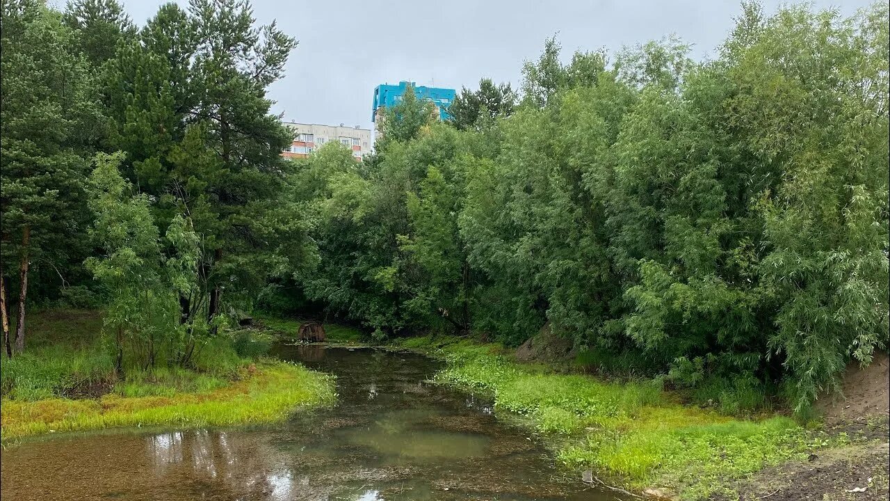 Река сайма. Реки хмао. 2015 сургут наводнение. Вода сургут река. Вода сургут река.