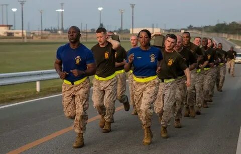Corps body