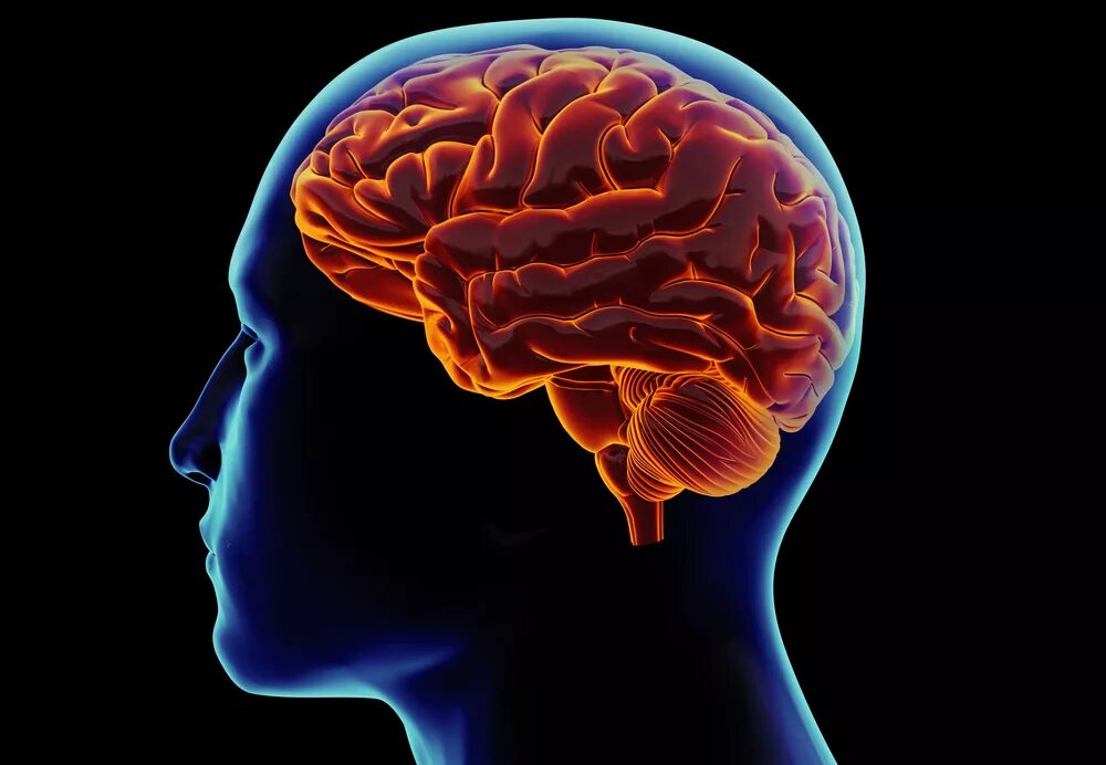 нейроны фон. ткань мозга человека. адренокортикальная аденома гистология. Brain monitor. тканевый мозг.