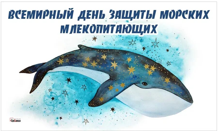 19 февраля день чего. 19 февраля всемирный день защиты морских млекопитающих. 19 февраля всемирный день кита день морских млекопитающих. день защиты морских млекопитающих. всемирный день китов морские млекопитающие.