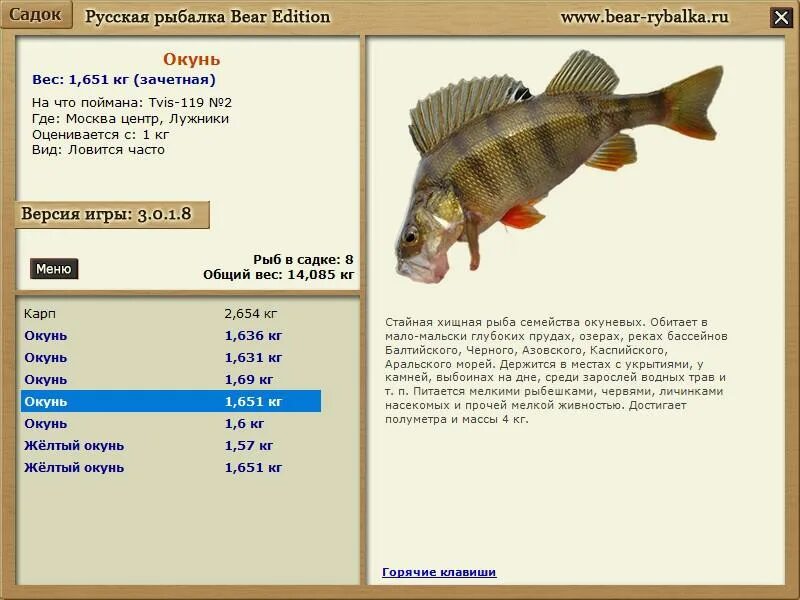 русская рыбалка окунь кама. русская рыбалка 3 озеро лесной пляж ямки. русская рыбалка 3 7 6 озеро. где ловить русской рыбалки 3. русская рыбалка 3 клязьма окунь.