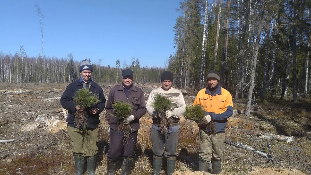 Лесхозная мыски