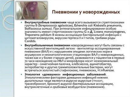 Пневмония новорожденного отзывы