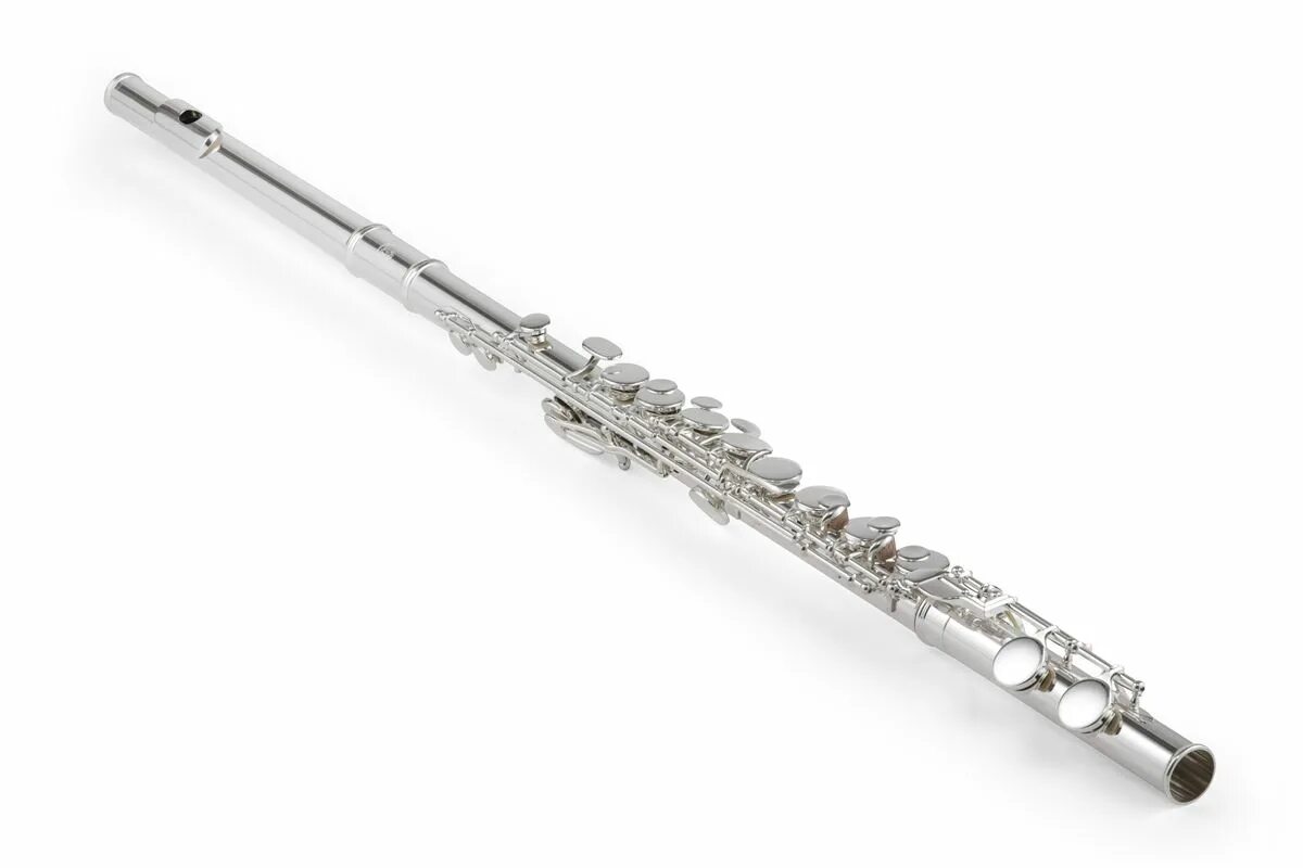Flute. Eurofon m-1102 флейта-Пикколо. Духовые инструменты флейта. Борк флейта. Современная флейта.
