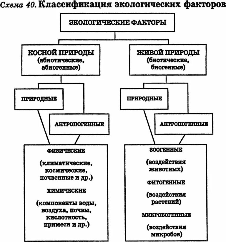 Природная классификация определение. Классификация экологических факторов. схема “классификация экологических факторов среды. схема классификации экологических факторов. экологические факторы классификация экологических факторов.