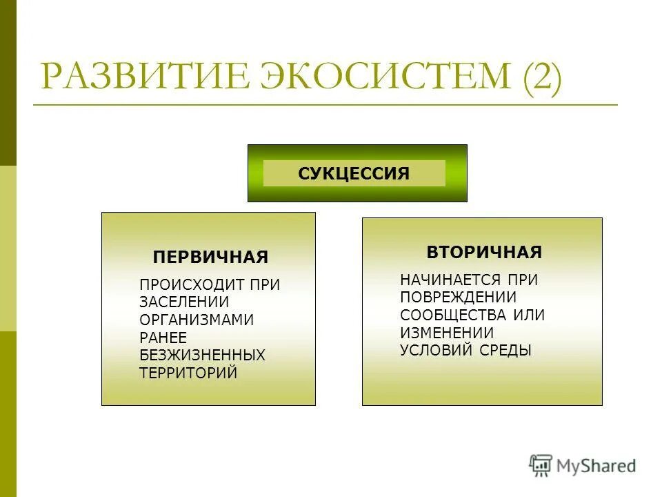 Этапы развития экосистемы. Стадии развития экосистемы. Этапы формирования экосистемы. Стадии формирования экосистемы. Развитие биогеоценозов