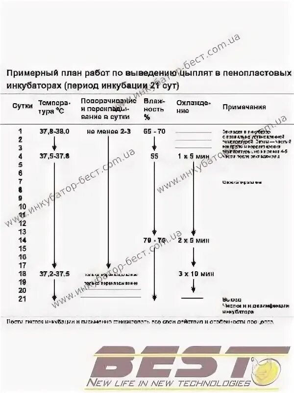 Температура инкубации цыплят в пенопластовых инкубаторах. Режим инкубации куриных яиц в инкубаторе таблица. Схема инкубации гусиных яиц в пенопластовых инкубаторах. Вывод цыплят бройлеров в инкубаторе. Инкубация индюшиных яиц в инкубаторе несушка