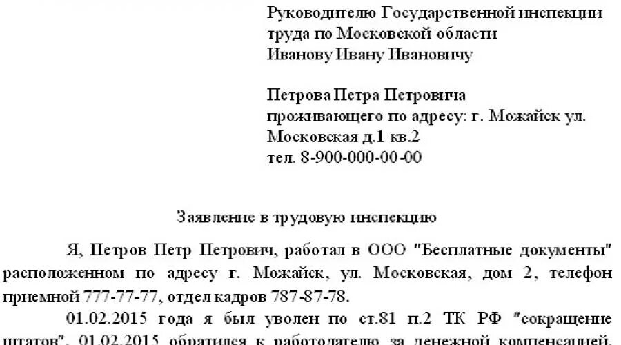 Заявление в налоговую на работодателя. Жалоба в трудовую инспекцию на работодателя образец. образец заявления в трудовую инспекцию на работодателя. образец обращения в трудовую инспекцию. заявление в трудовую инспекцию о невыплате.