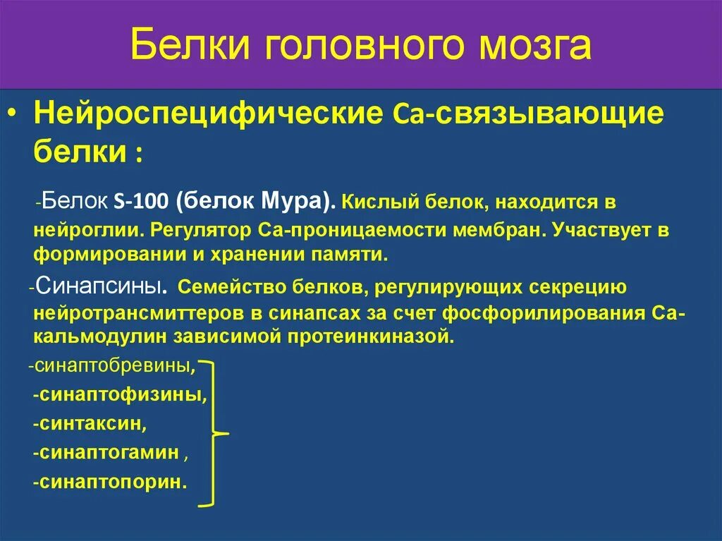 Белки головного мозга. Нейроспецифические белки головного мозга. Белок участвующий в процессе памяти. Нейроспецифические белки нервной ткани. Токсичный белок