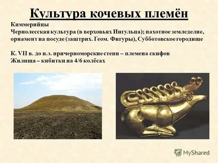 Определите признаки городской и кочевой культуры