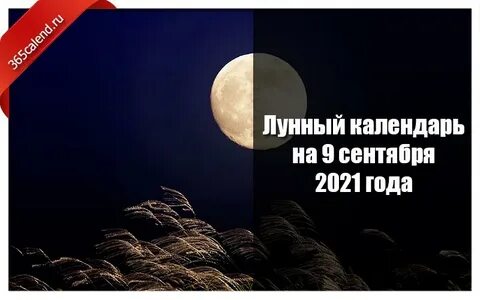 Лунный день 2021 года