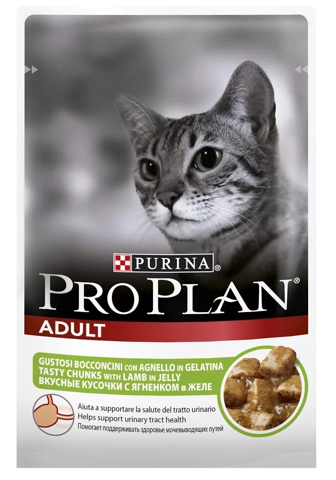 Влажный корм для кошек pro plan купить. Pro Plan Sterilised сухой. Корм для котят Пурина Проплан сухой. Корм Пурина Проплан для котят. Pro Plan для стерилизованных кошек 3 кг.