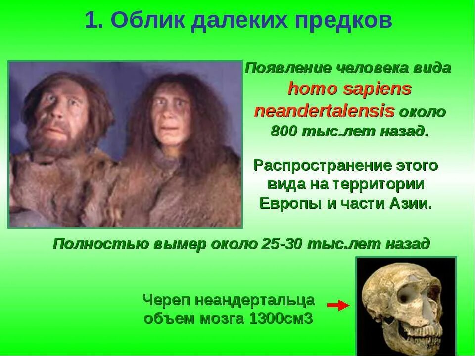 Предок человека называется. Человек разумный homo sapiens. Предшественник человека разумного (homo sapiens). Древние предки человека разумного. Предшественники хомосапиенс.