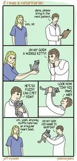 Helen is a vet use