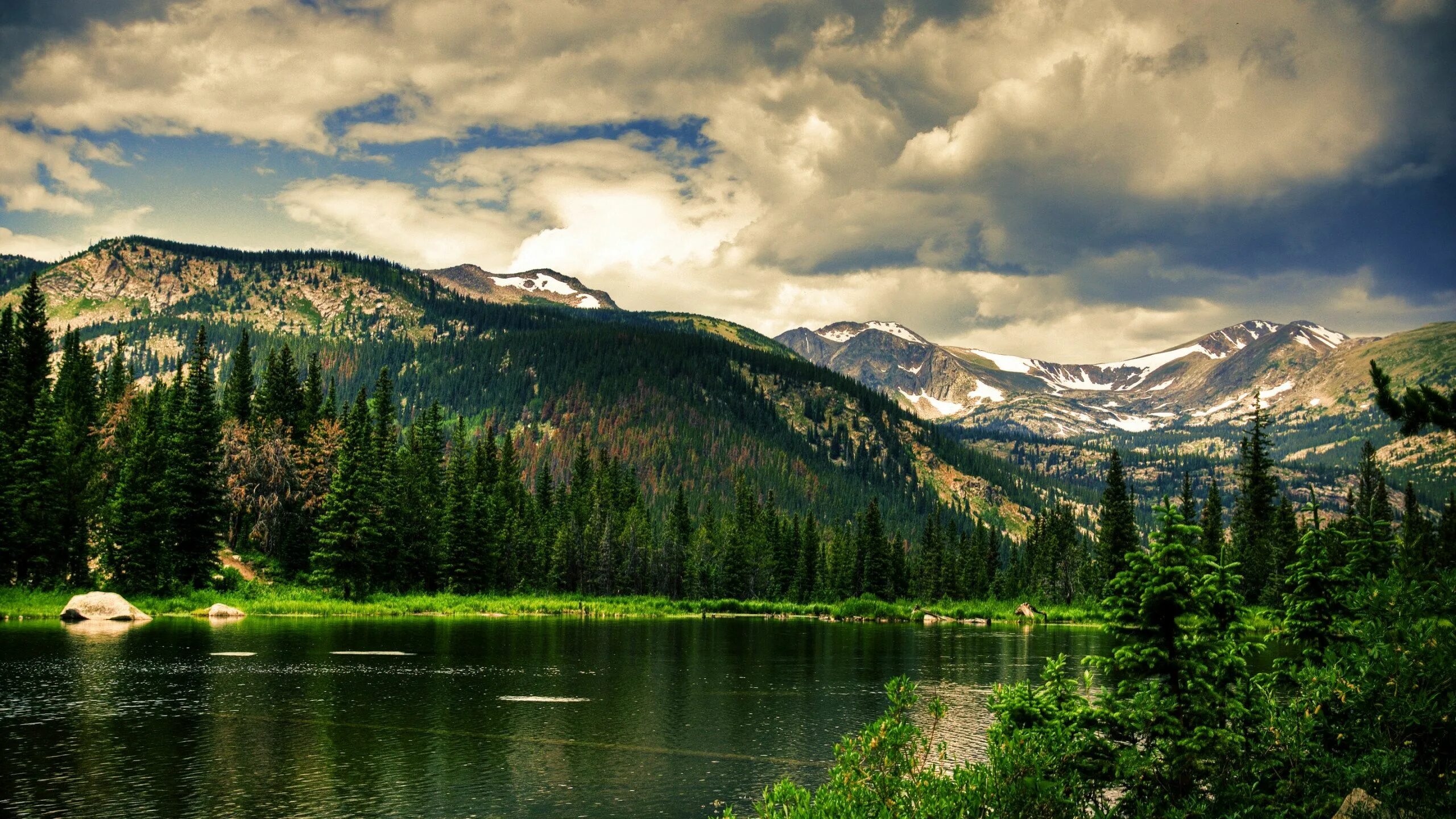 Южный Шварцвальд озеро. Озеро Рица. Лес горы. Красивый пейзаж. Nature views