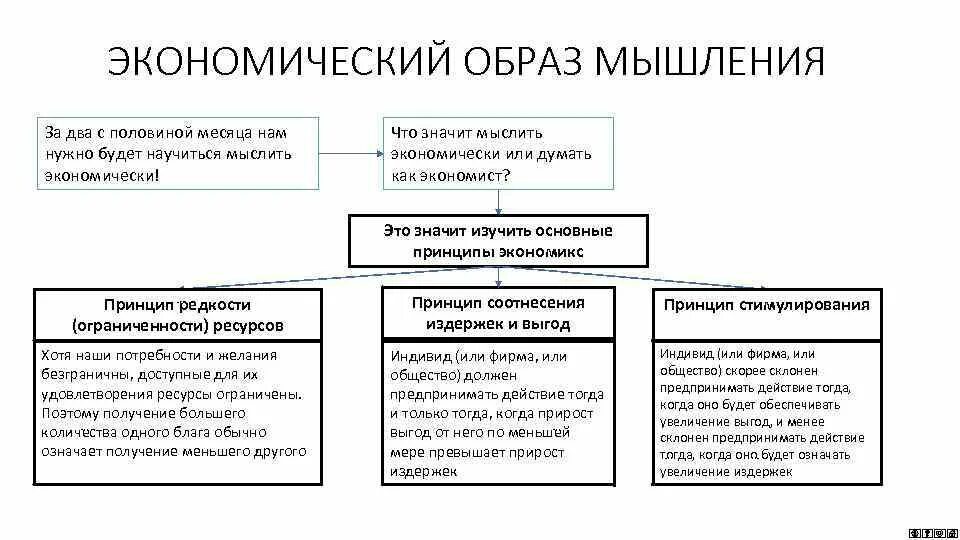 Способы мышления философия. Типы экономического мышления. Принципы формирования экономического мышления. Экономический образ мышления. Формирование образа экономического мышления.