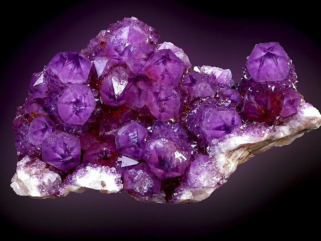 фиолетовый кварц аметист. фиолетовый кварц аметист. фиолетовый кварц аметист. аметистовый кварц камень. фиалковый аметист.