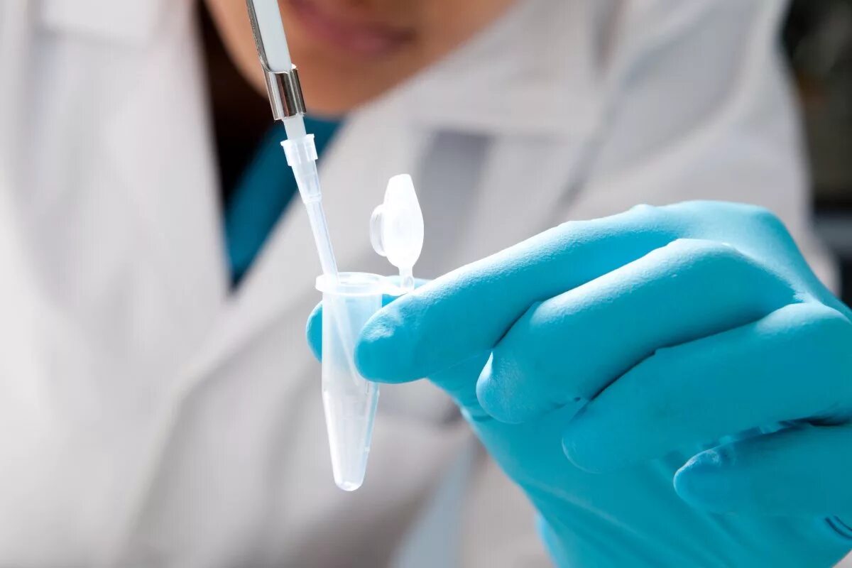 Экспресс-тестирование на covid-19. Пцр-тестирование на covid-19. Взятие мазка на пцр алгоритм. Как берут мазок на коронавирус. Взятие мазка на бактериоскопическое исследование.