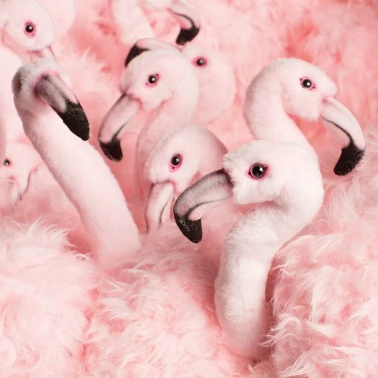 Мини фламинго. Miss flamingo chair. кресло из фламинго. пушистое кресло miss flamingo. кресло из плюшевых фламинго.
