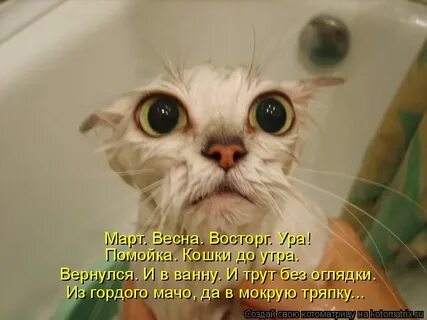 Без тру 3