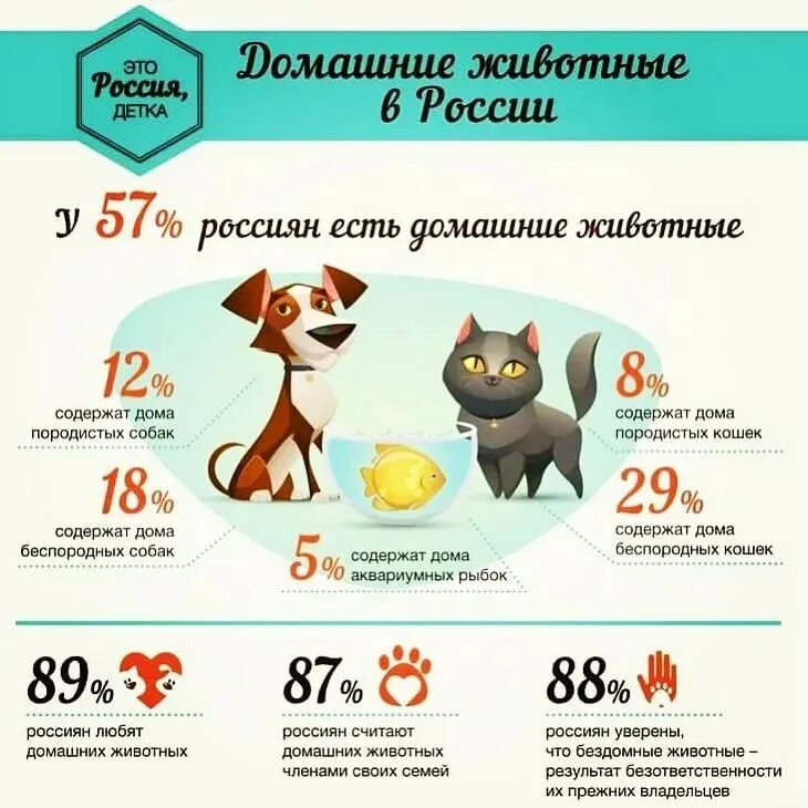 Сколько хозяев было