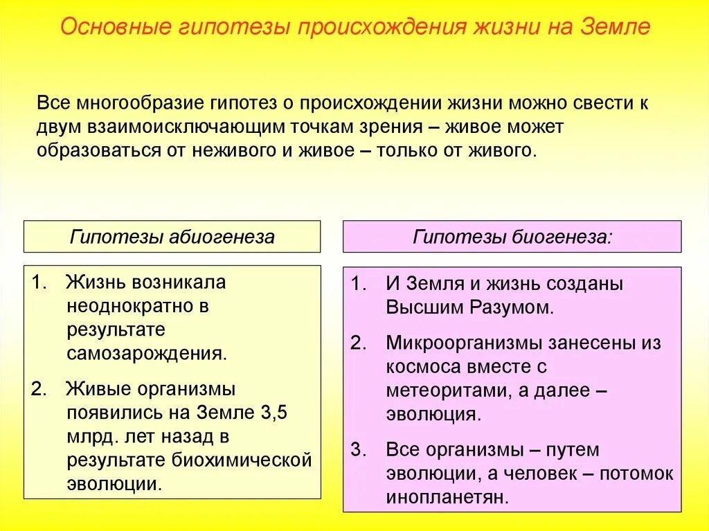 Гипотезы появления жизни