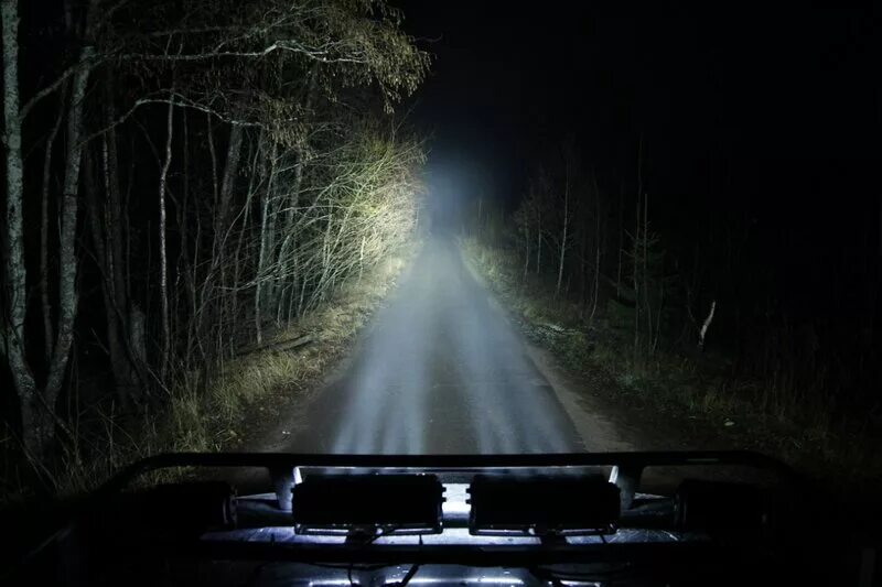 Дорога белела освещенная месяцем. Машина в лесу ночью. Ночная дорога фары. Темная дорога. Свет фар.