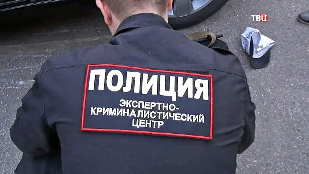 Форма судебного эксперта. Экспертиза полиции. полиция криминалист. форма эксперта криминалиста мвд. форма экспертакриминалиа.