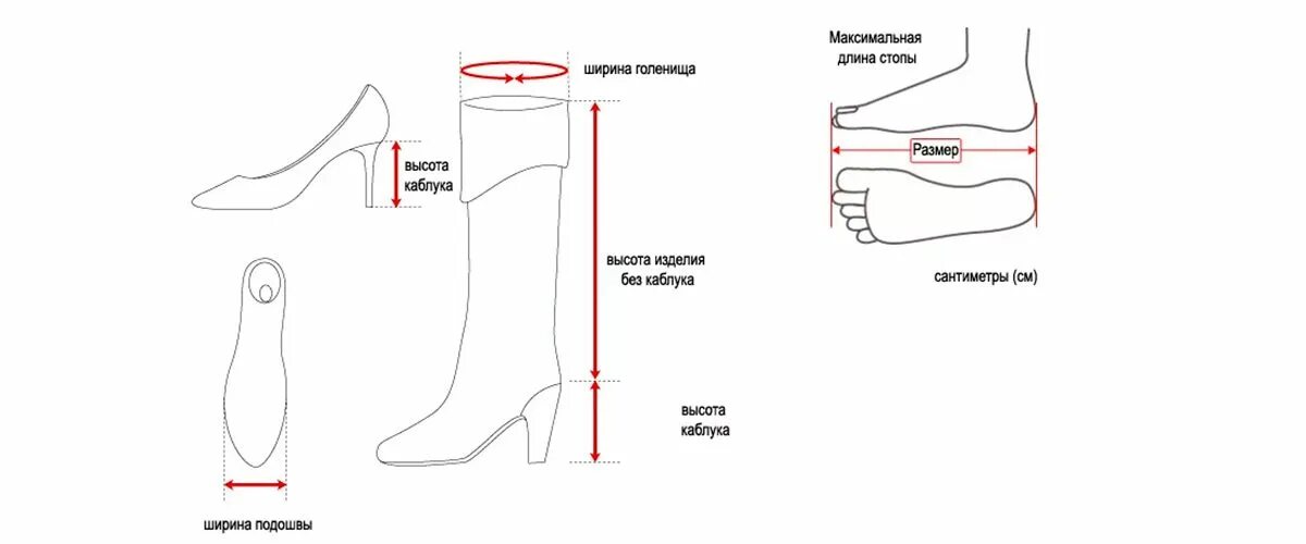 Таблица размеров голенища сапог. Голенище в обуви. Высота голенища сапога. Ширина голенища обуви. На какое голенище