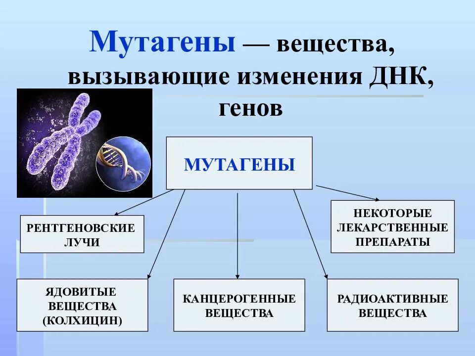 Мутагены физические химические биологические. Мутагены это в генетике. Ионизирующие мутагены. Мутация мутагены физические химические биологические
