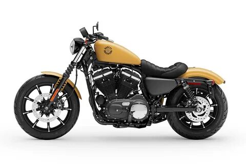 Harley 883