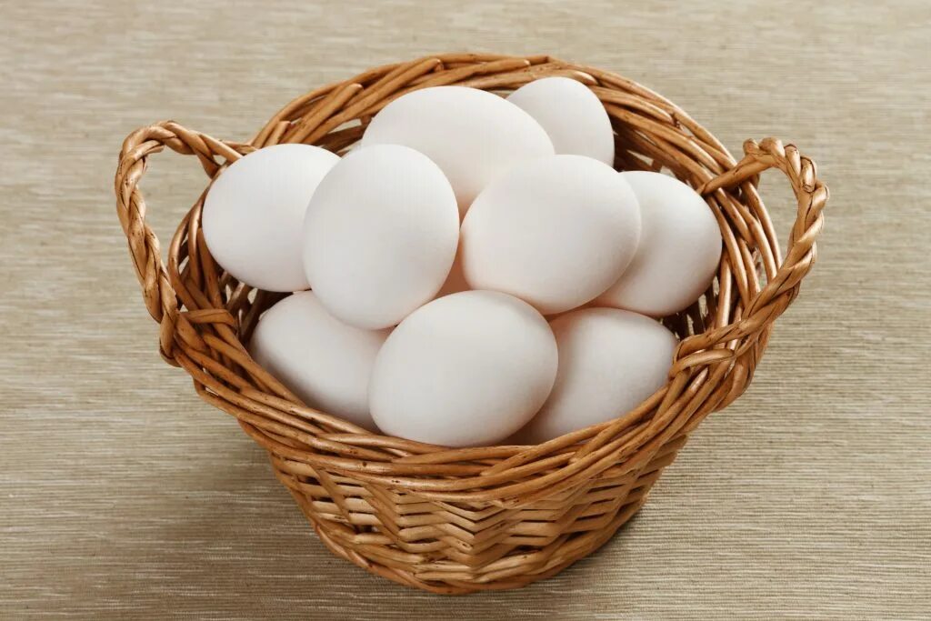 Eggs astd