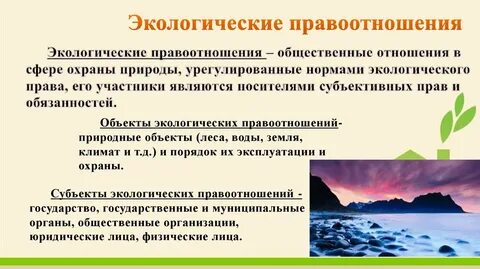 Нормы экологических правоотношений