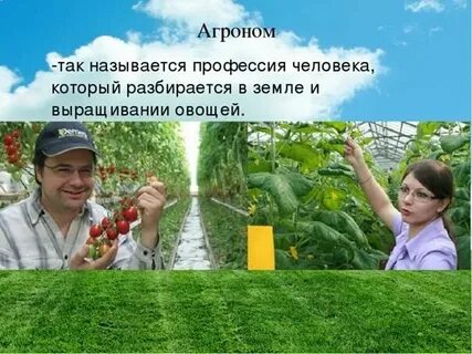 Как называется человек который занимается растениями