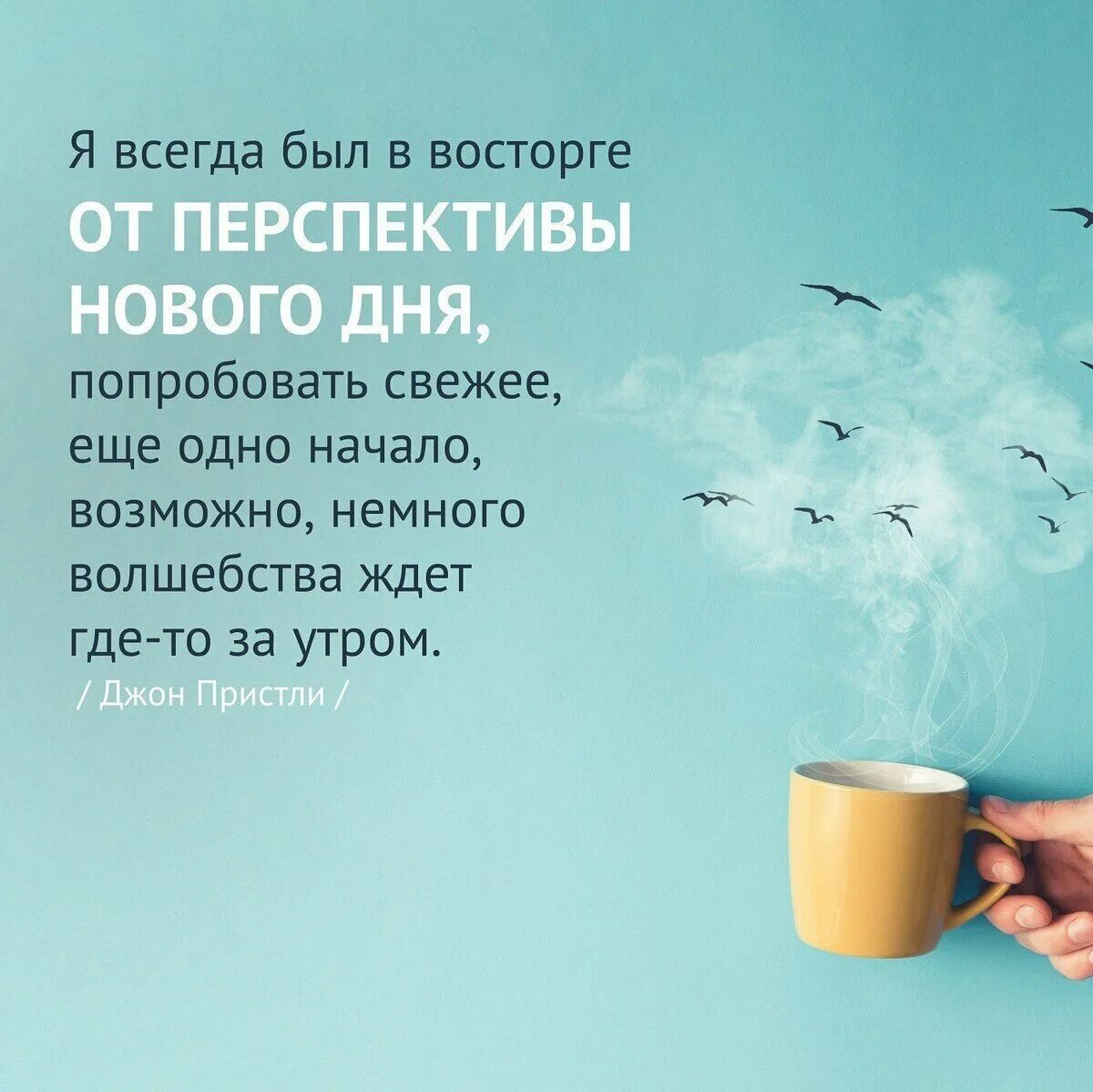 Утро со смыслом о жизни новые. Утро со смыслом о жизни новые