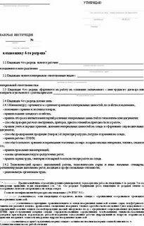 Форма рабочей инструкции