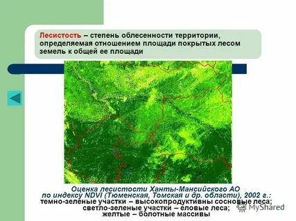 Лесистости территории