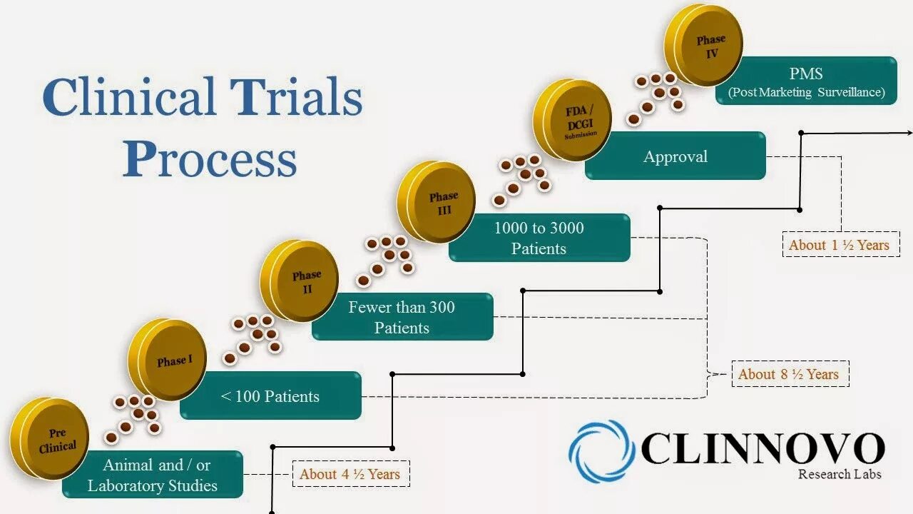 The trial process. Phase 1 of clinical trials. Steps of a trial презентация. Ctms. Court procedures.