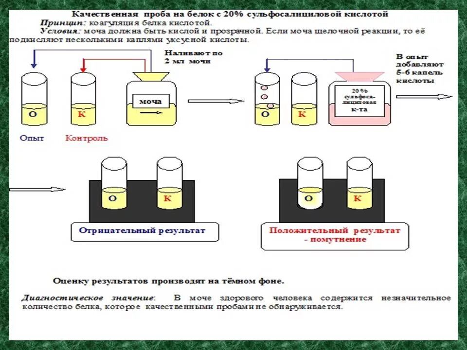 Моча реакция белок