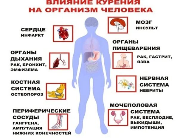 Как выглядит некурящий человек Врач из Коммунарки показал страшный снимок, во что вейп превратил лёгкие 20-летн