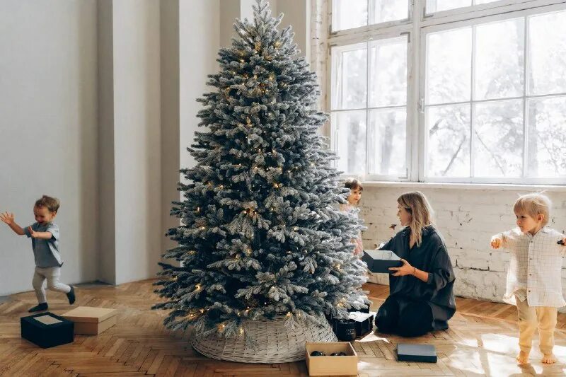 Елка мечты. Креативная елка. Елка мечты. Елка мечты рф. Крутая елка.