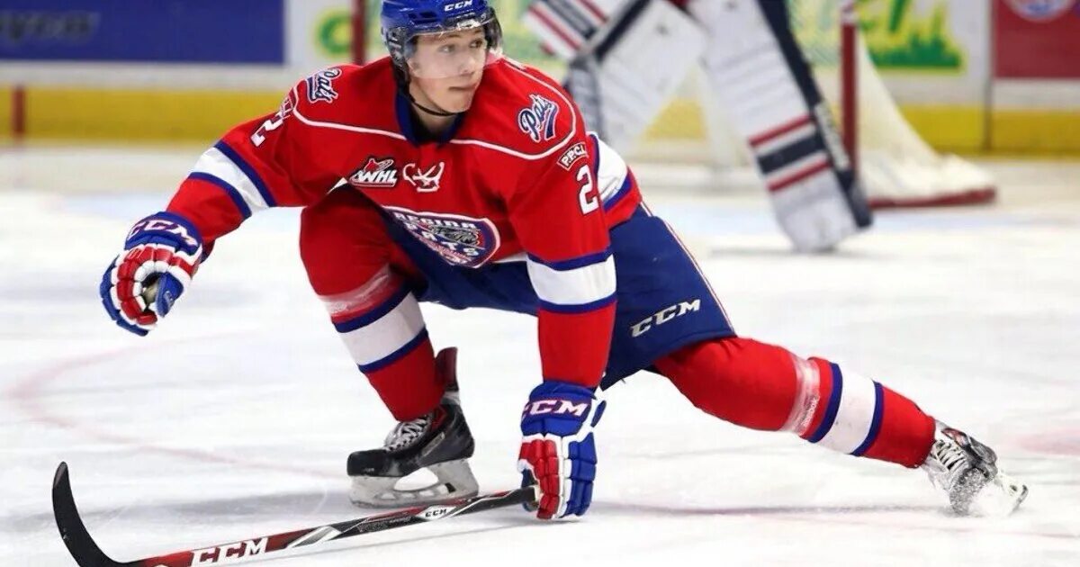 Силовой прием мельница в хоккее. Зимние виды спорта хоккей с шайбой. Ice hockey. Шайба "хоккеист". Роб хоогланд канада.