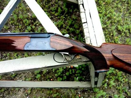 Ружье иж 12