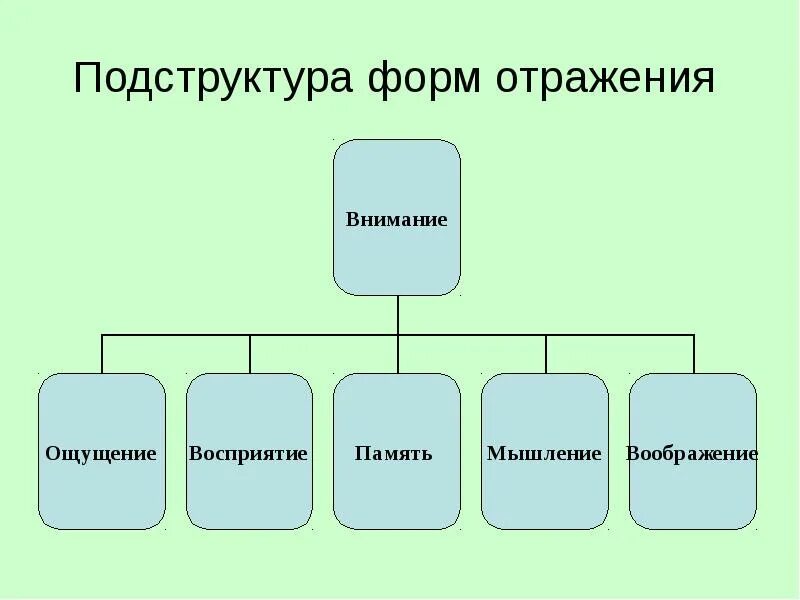 Форма отображения