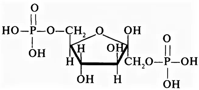 Фруктоза 1 6 дифосфат в фруктозо 6 фосфат. Фруктоза 1 6 дифосфат формула. Фруктозо 1 6 дифосфат формула. 1,6-Дифосфат--д-фруктофуранозы.
